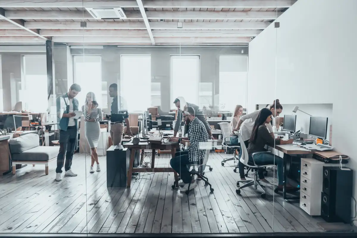Adapfin Careers - Join Our Team